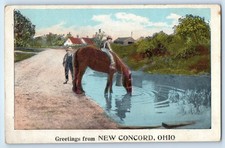 1920 New Concord Ohio OH Vintage Postcard Greetings Drinking Horse River Posted picture