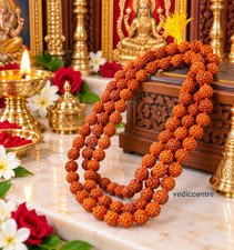 RUDRAKSHA MALA 108 + 1 BEADS ROSARY MALA 7 MM BEADS SIZE AAA+ QUALITY picture