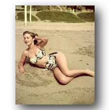 Vera Miles Photo 8x10 Bikini Beach Actress 1955 Color  Portrait picture