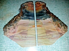 Oregon Blue Mountain Jasper 2 Piece Butterfly Orbicular Slabs Lapidary Cabbing picture