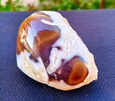 Mirror Polished  Honey Chalcedony Eye in Blue Chalcedony Nodule with Milk Opal picture