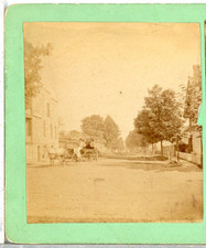 Horse Drawn Wagon On A Tree Lined Street. Maybe New York?--Stereoview S48 picture