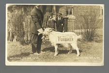 Sleepy Eye MINNESOTA RP 1917 M.W.A. WELCOME GOAT Modern Woodman nr New Ulm  picture