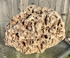 FABULOUS* 23 Lb Huge Fossil Coral - Unique Specimen~ Pretty Chalcedony Replaced picture