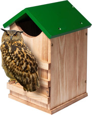 Screech Owl House Owl Box with Bird Stand Design | Nesting Box Wood with Mountin picture