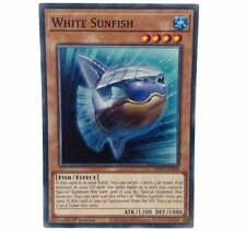 YUGIOH White Sunfish PHNI-EN006 Common Card 1st Edition NM-MINT picture