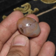 Authentic Ancient Tibetan Himalayan Banded Carnelian Stone Dzi Bead picture