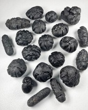 Philippine Tektites 1 Kilo Wholesale Pack Philippinite Meteorite Impact Bikolite picture