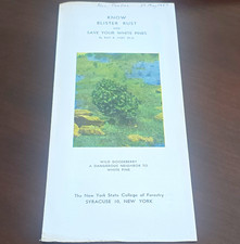 Know Blister Rust and Save Your White Pines Brochure by Ray R. Hirt Ph.D. picture