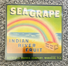 Sea Grape Indian River Citrus Fruit Advertising Label, Green/Multicolor vintage  picture