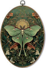 Vintage Luna Moth Oval Wall Art Decor Framed, Cottagecore Butterfly picture