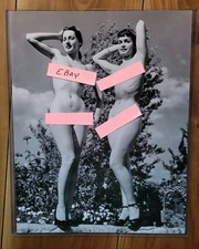 Bettie Page & Dolores Del Monte 1954 Posing Pinup's 11 X 14 Photograph  picture