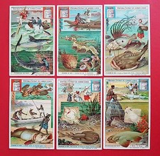 6 x Liebig collectable pictures in French (20513 picture