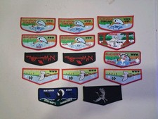Boy Scout OA 349 Blue Heron flaps picture