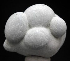 MENALITE FAIRY STONE Mineral Specimen Clay Concretion Menilite FRANCE picture