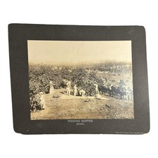 Antique Large Cabinet Card Early Photograph Coffee In Brazil Owned by Mike Wolfe picture