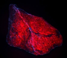 Ruby with large Kyanite crystals, UV. Mysore, Kamataka, India. 720 grams. picture