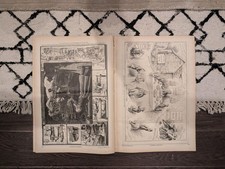 Nov 16 1878 Harpers Weekly, St. Patricks Cathedral Fair, Bombay Wrestling, Rio d picture