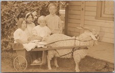 Vintage 1910s GOAT CART Real Photo RPPC Postcard 3 Girls and a Boy on Cart picture