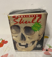 Realistic Glow-in-the-Dark Skull Decoration w/ Jaw That Actually Moves, Boxed picture