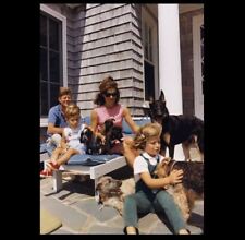 1963 John F Kennedy Family & Dogs PHOTO President JFK Jackie John Jr Caroline picture