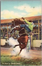 Vintage 1939 Cowboy RODEO Postcard 