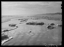 Photo:Pensacola Florida 1900s Gulf Coast Sea Foam Incoming Tide Beach picture