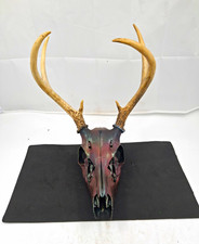 Real Whitetail Deer Skull Antlers Custom Chameleon Color Shift Painted Euro Moun picture