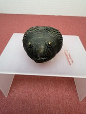 Antique Brass Dhorka african figurine of a mythological frog 2.5 inch picture