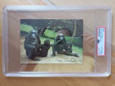 JANE GOODALL signed autographed PRIMATOLOGIST color postcard PSA/DNA Authentic picture