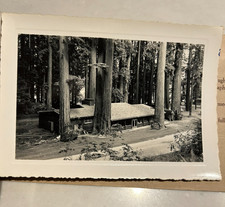 Vintage 1930s Panel Art 8 Photos Redwood Empire Lanes Redwood Flat Album picture