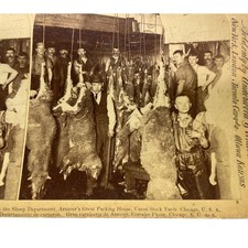 Vtg 1894 Stereoview Armour Packing House Sheep Dept Union Stock Yards Chicago picture