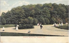 Entrance Garfield Park Cleveland Ohio Divided Back Litho Postcard picture
