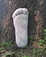 Bigfoot Plaster Cast Large Footprint Patterson site picture
