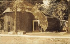 Big Tree Inn Des Moines 1920s RPPC Waters Photo Washington Roadside Attraction picture