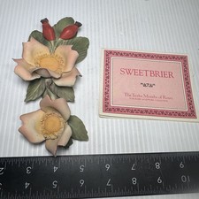 VTG 1985 Franklin Mint Porcelain Sweetbrier Rose NEW #1 picture