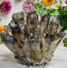 2026Rare 300G+Raw Smoky Quartz Crystal Cluster Natural Rough Geode Reiki Decor picture
