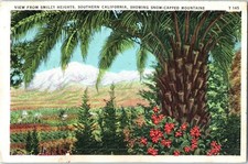 Vintage Postcard 1937 View from Smiley Heights, Redlands, California (CA) picture