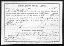 1901 Carson & Tahoe Lumber & Fluming Co Carson City, NV Business License picture