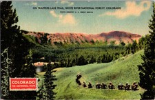 Meeker CO postcard HORSEBACK RIDERS ON TRAPPERS LAKE TRAIL s/21 BE0494 picture