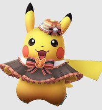 PIKACHU WEARING A HAT AND CAPELET x10 picture