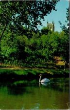Vtg Beautiful Central Park in Moose Jaw Saskatchewan SK Swan, Postcard Unposted picture