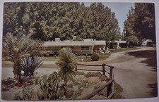 Vintage Desert Cypress Trailer Ranch Wickenburg Arizona Chrome Postcard picture