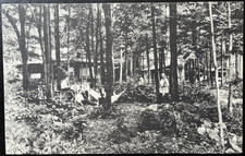 Recreation Hour, Camp Owaissa, Pocono Pines, PA GF Morgan Albertype picture