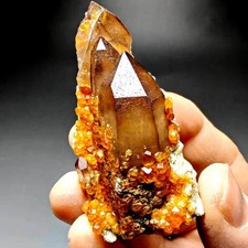 62gm Smoky Quartz+Spessartine Garnet on Matrix,Tongbei,Fujian,China picture
