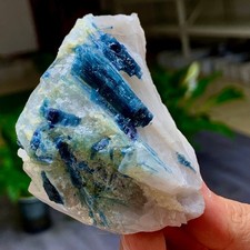 151G Natural tourmaline quartz crystal cluster mineral specimen picture