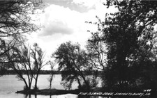 RPPC Five Island Lake Emmetsburg Iowa Trees c1950s picture