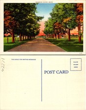 Maine ME Roadside Scene Postcard 62271 picture
