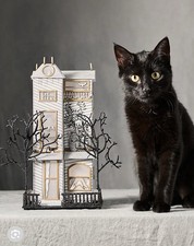 Anthropologie Florence Balducci Black Cat Halloween House Light Up picture