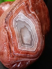 3.07oz Lake Superior Agate, Museum Quality picture